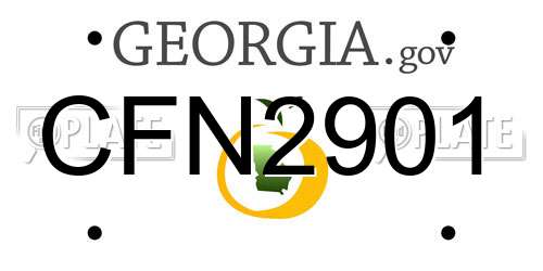 CFN2901 Georgia License Plate
