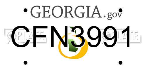 CFN3991 Georgia License Plate