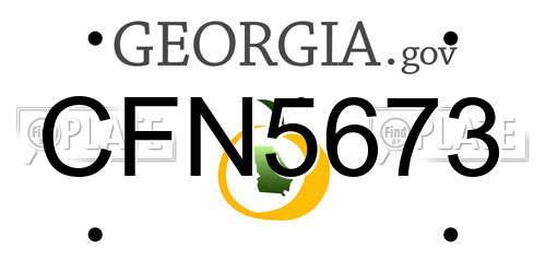 CFN5673 Georgia License Plate