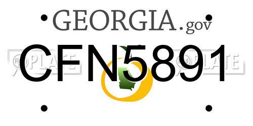 CFN5891 Georgia License Plate