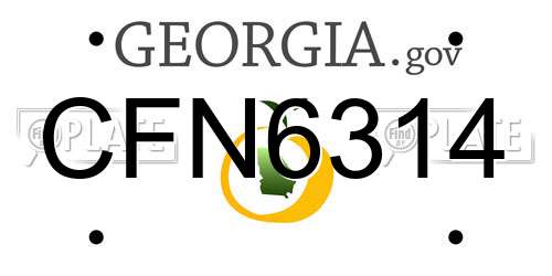 CFN6314 Georgia License Plate