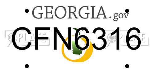 CFN6316 Georgia License Plate