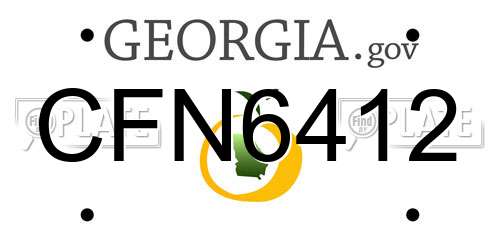 CFN6412 Georgia License Plate