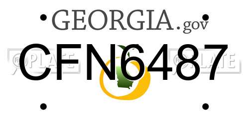 CFN6487 Georgia License Plate