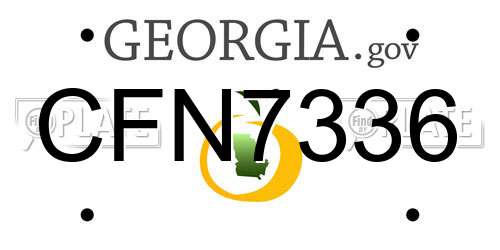 CFN7336 Georgia License Plate