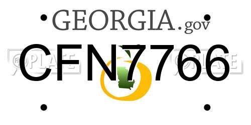 CFN7766 Georgia License Plate