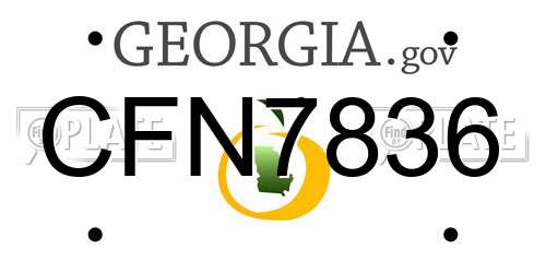 CFN7836 Georgia License Plate