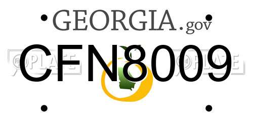 CFN8009 Georgia License Plate