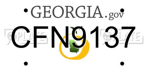 CFN9137 Georgia License Plate