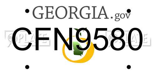 CFN9580 Georgia License Plate