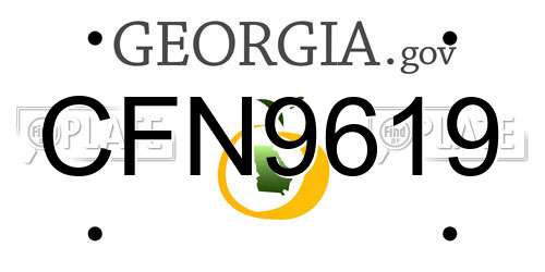CFN9619 Georgia License Plate