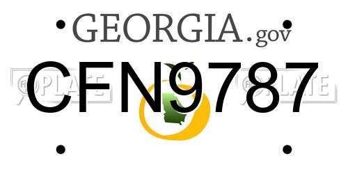 CFN9787 Georgia License Plate