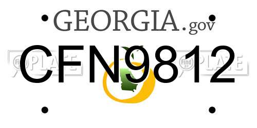 CFN9812 Georgia License Plate
