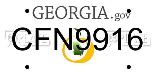 CFN9916 Georgia License Plate