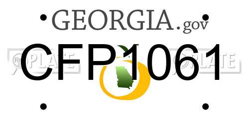 CFP1061 Georgia License Plate