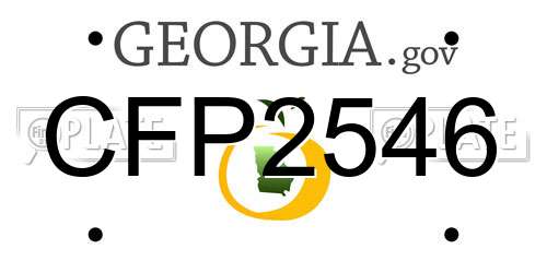 CFP2546 Georgia License Plate