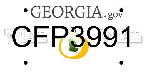 CFP3991 Georgia License Plate