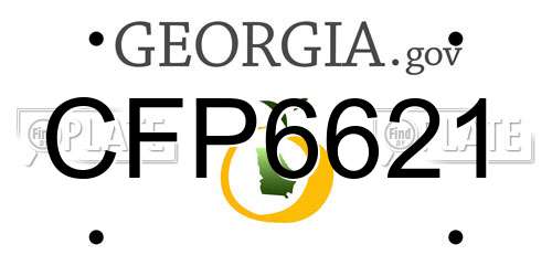 CFP6621 Georgia License Plate