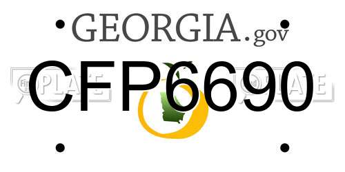 CFP6690 Georgia License Plate