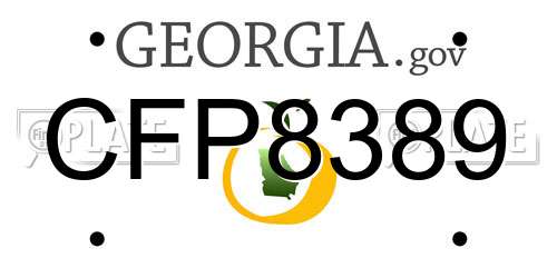 CFP8389 Georgia License Plate