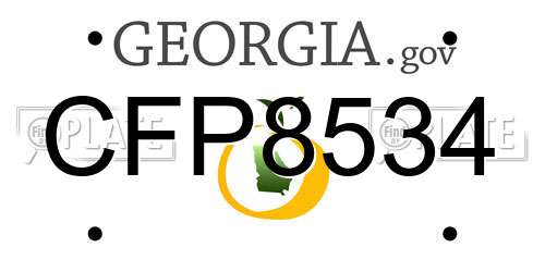 CFP8534 Georgia License Plate