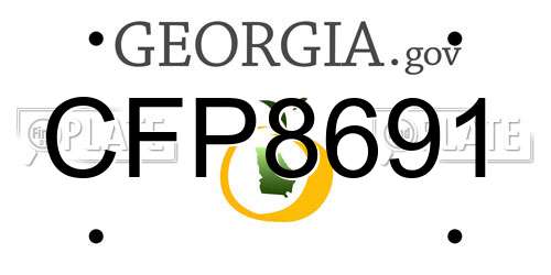 CFP8691 Georgia License Plate