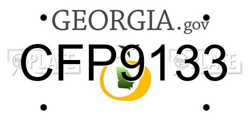 CFP9133 Georgia License Plate
