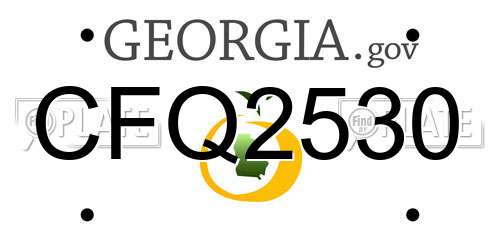 CFQ2530 Georgia License Plate