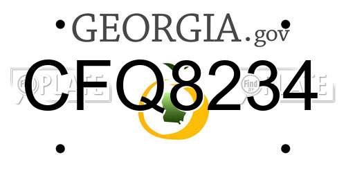 CFQ8234 Georgia License Plate