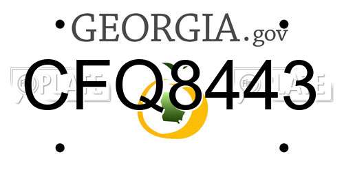 CFQ8443 Georgia License Plate