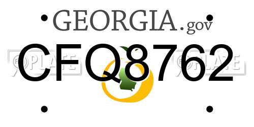 CFQ8762 Georgia License Plate