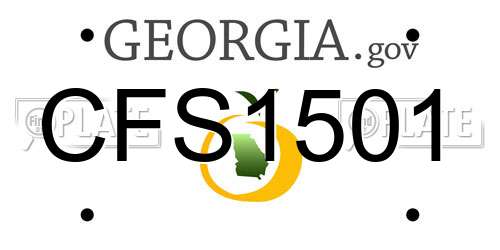 CFS1501 Georgia License Plate