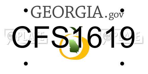 CFS1619 Georgia License Plate