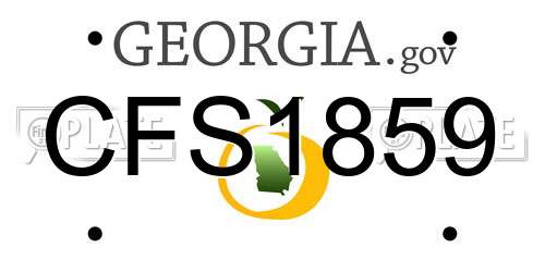 CFS1859 Georgia License Plate