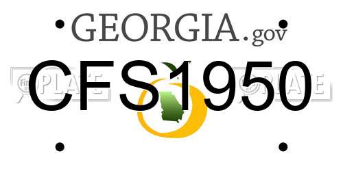 CFS1950 Georgia License Plate