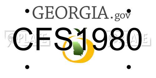 CFS1980 Georgia License Plate