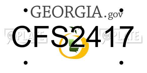 CFS2417 Georgia License Plate