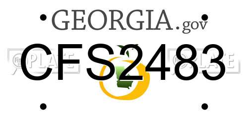 CFS2483 Georgia License Plate