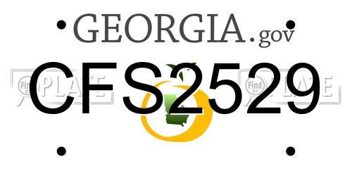 CFS2529 Georgia License Plate