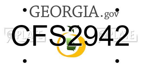 CFS2942 Georgia License Plate