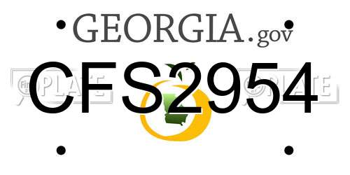 CFS2954 Georgia License Plate