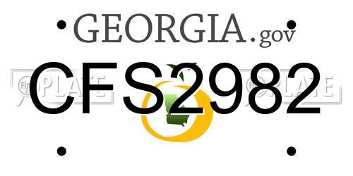 CFS2982 Georgia License Plate