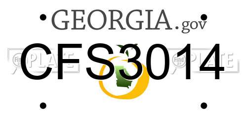 CFS3014 Georgia License Plate