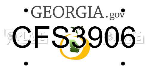 CFS3906 Georgia License Plate