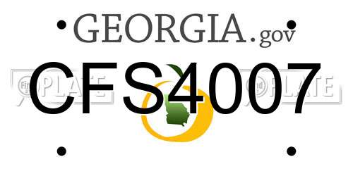 CFS4007 Georgia License Plate