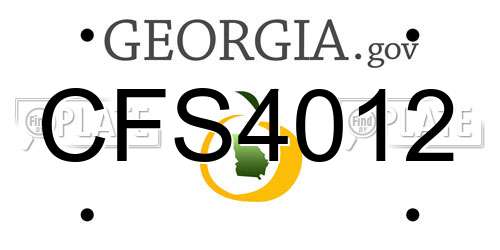 CFS4012 Georgia License Plate