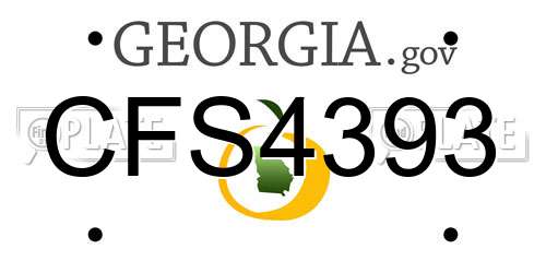 CFS4393 Georgia License Plate