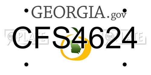 CFS4624 Georgia License Plate