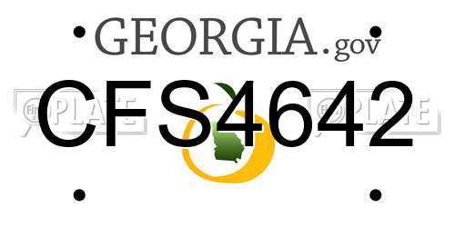 CFS4642 Georgia License Plate