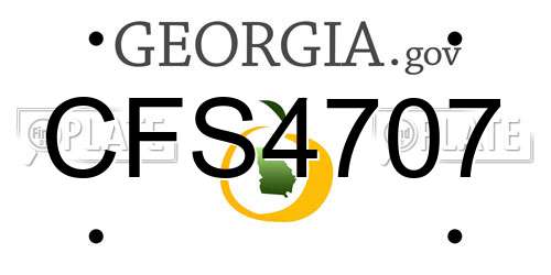 CFS4707 Georgia License Plate